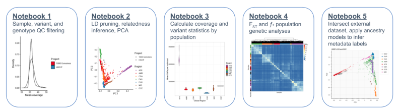Way to go <a href="/ZanKoenig/">Zan Koenig</a> and @itsnotmeron for developing scalable cloud-based tutorials for common genomics analyses: github.com/atgu/hgdp_tgp/…. We have also released phased haplotypes for phasing/imputation: gs://gcp-public-data--gnomad/resources/hgdp_1kg/phased_haplotypes