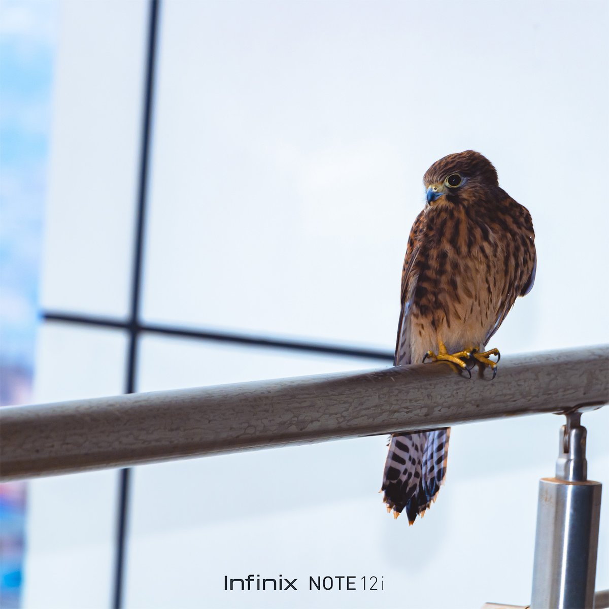 infinixrwanda's tweet photo. I wouldnโt need a camera if I could snap a great shot with my #Note12i.
#TheFutureIsNow https://t.co/PrGVvlGqVh