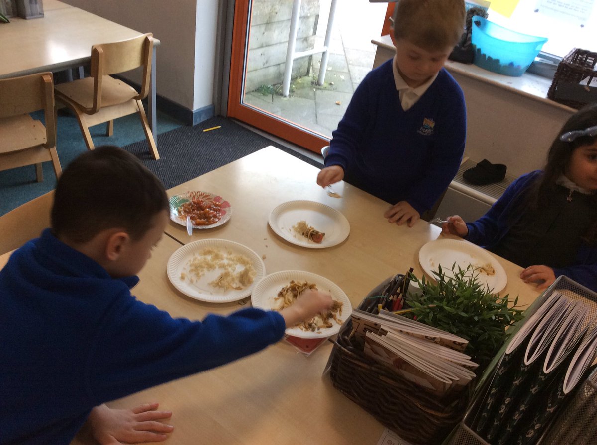 Foxfield Year 1 Pine tweet media