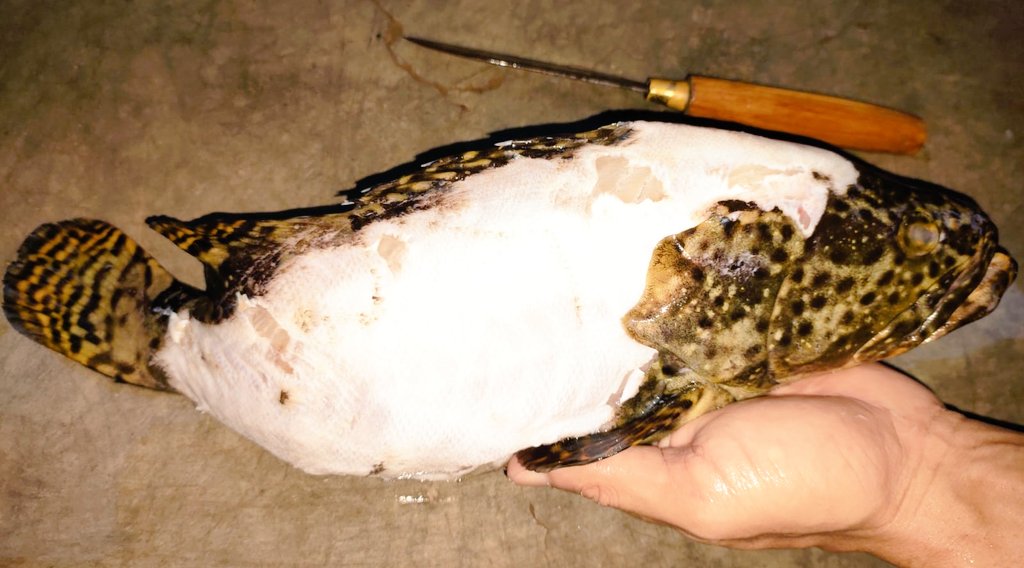 NgPgmd's tweet image. Masih ingatkah Brother @kancingdjaya? Today mulai proses lho...

#ICSGRTC