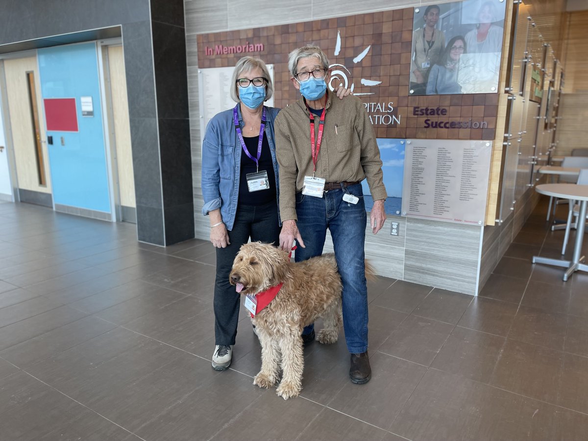 test Twitter Media - On Tuesdays in the Art Hive, Goldendoodle Lucy greets each person who enters with a wagging tail and enthusiastic demeanor. Lucy’s volunteer handlers have a weekly presence in the Art Hive. 
Read more about how pets and art are bringing joy:
https://t.co/CaK8MhHSHD https://t.co/QSKZOVtgFf