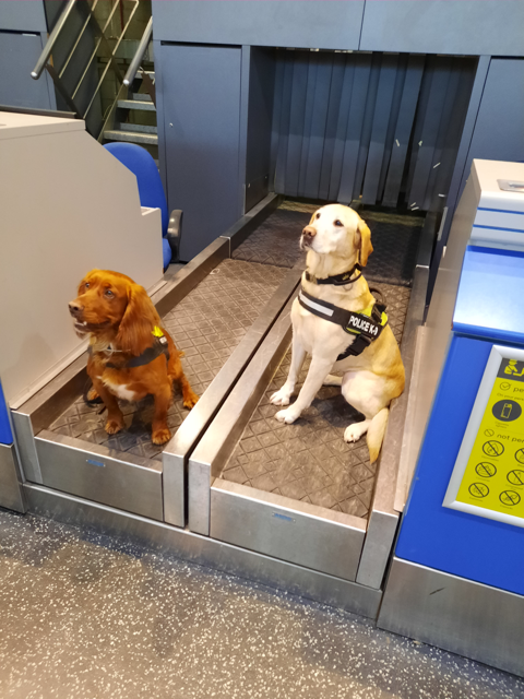 Belfast_Daily's tweet photo. POLICE DOGS ON THE SNIFF FOR 'DIRTY CASH' - https://t.co/AAyUz7dxnr https://t.co/Ya3T65wYdg