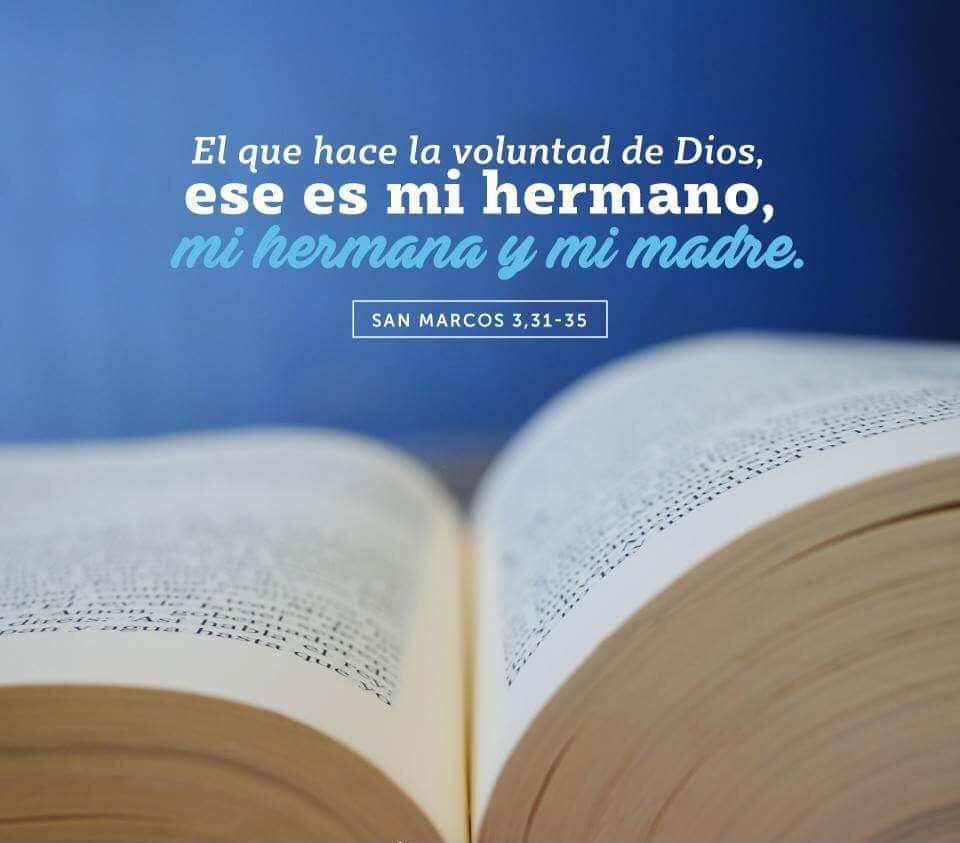 Parroquiasmc's tweet photo. #EvangelioDeHoy  Marcos 3,31-35.
"¿Quién es mi madre y quiénes son mis hermanos?".
Y dirigiendo su mirada sobre los que estaban sentados alrededor de él, dijo: "Estos son mi madre y mis hermanos.
Porque el que hace la voluntad de Dios, ese es mi hermano, mi hermana y mi madre". https://t.co/DDx48M1Zzm
