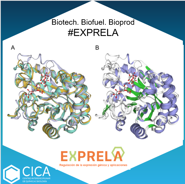 CICAUDC's tweet photo. Juan-José Escuder-Rodríguez, María González-Suarez, ..., Almudena Saavedra-Bouza, Manuel Becerra, María-Isabel González-Siso from #EXPRELA published “Characterization of a novel thermophilic metageno...” in Biotechnol Biofuels Bioprod. 👉 https://t.co/GPE16tSZrV https://t.co/IBmgwCpUX3