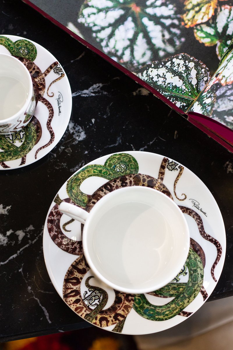 The fabulous #RobertoCavalli Snakes Tea Cup and Coffee Cup are available at kofc.co.uk, with a discount you won't find anywhere else! 

Explore all of our final reductions 🐍

kofc.co.uk/product-catego…