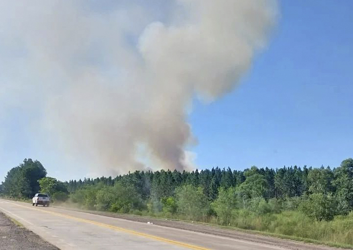 CorrientesGp's tweet photo. 🔥 #Corrientes reporta 11 focos de incendios en 8 localidades.

➡️ https://t.co/RoQHYbIXES
📷 @enmiradas https://t.co/Hd4JnsOdtq