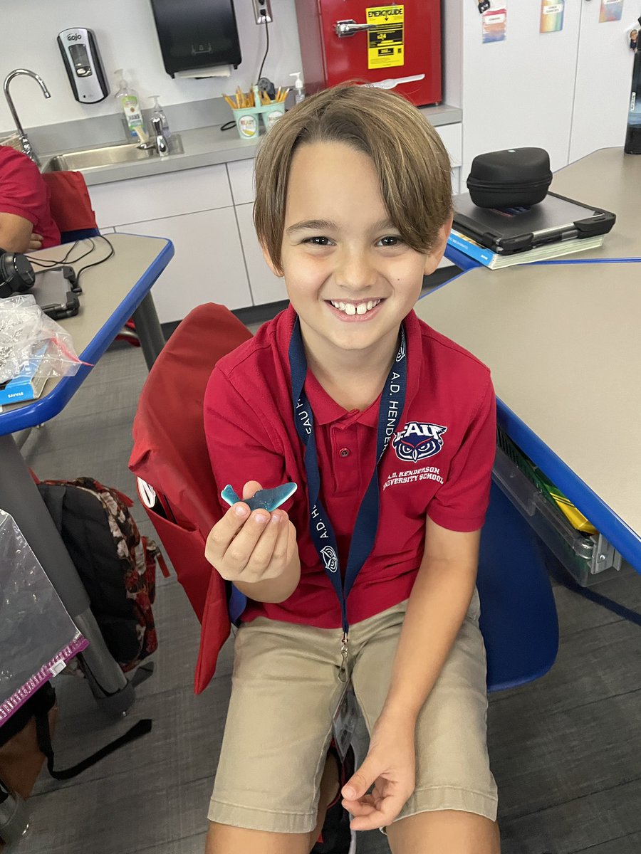 SylvestrisClass's tweet photo. #literacyweek continues! Enjoying our gummy sharks as we read Shark Lady by Jess Keating. @ADHUSelementary @ADHUS_FAUHS https://t.co/iYqpLBduBX