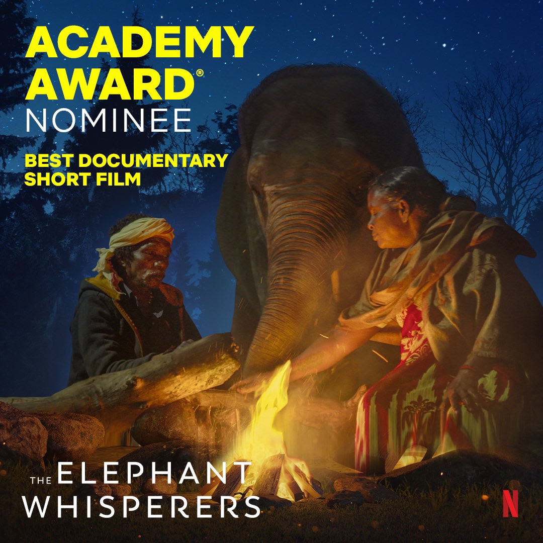NetflixIndia's tweet photo. Reason to scream? The Elephant Whisperers has been nominated for an Oscar 🥳 https://t.co/I4zTnEkiQq