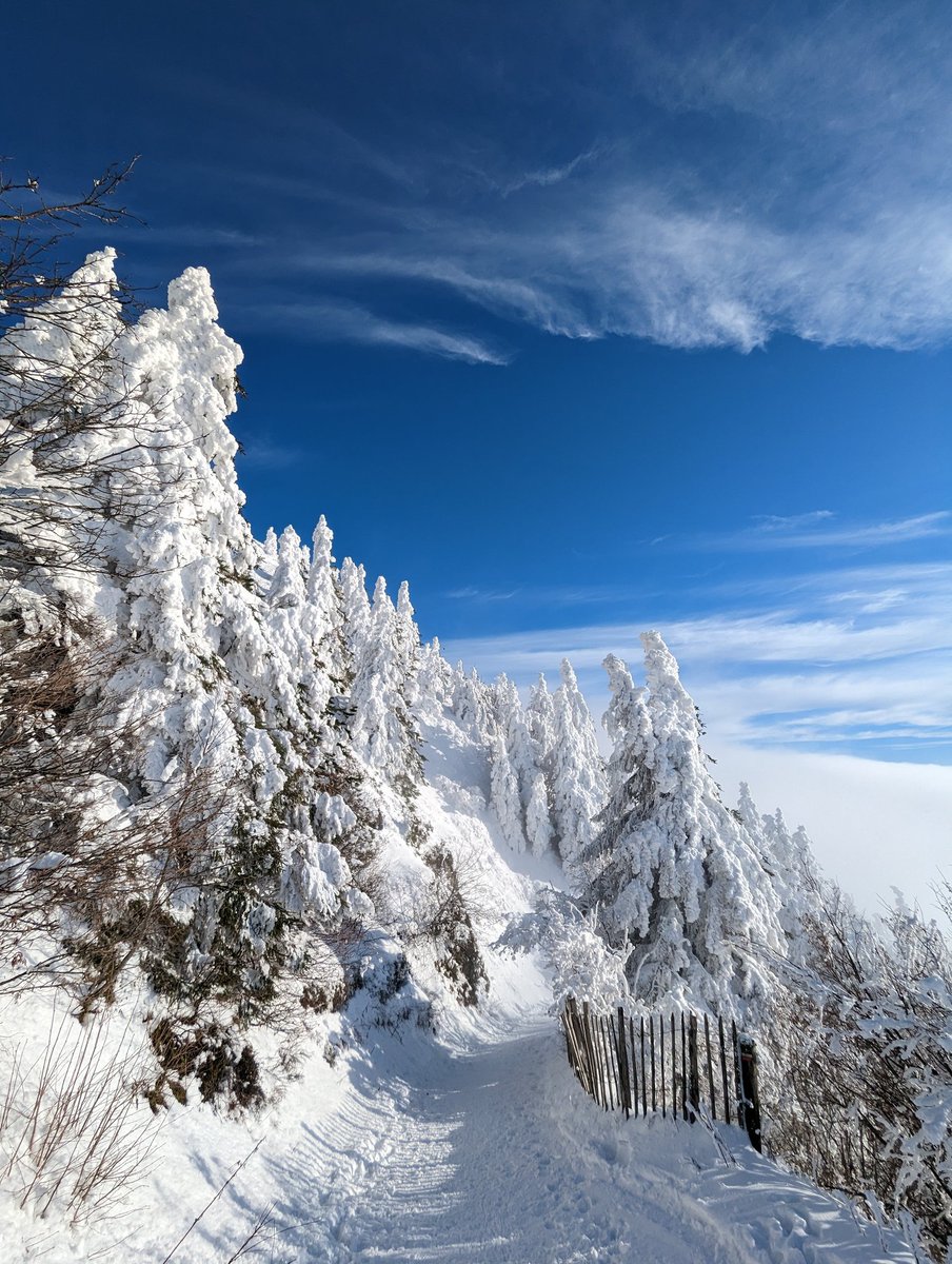 CieuxVolca's tweet photo. Conditions aphrodisiaques au sommet du Puy de Dôme en ce moment. Par dessus la mer de nuages, l'hiver dévoile ses courbes. https://t.co/PAIcJX0tFn