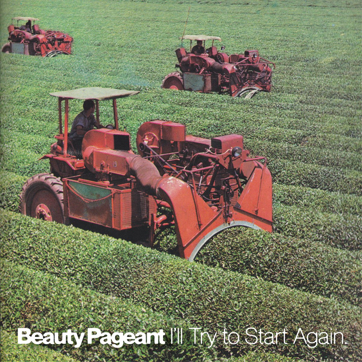 Beauty Pageant tweet media