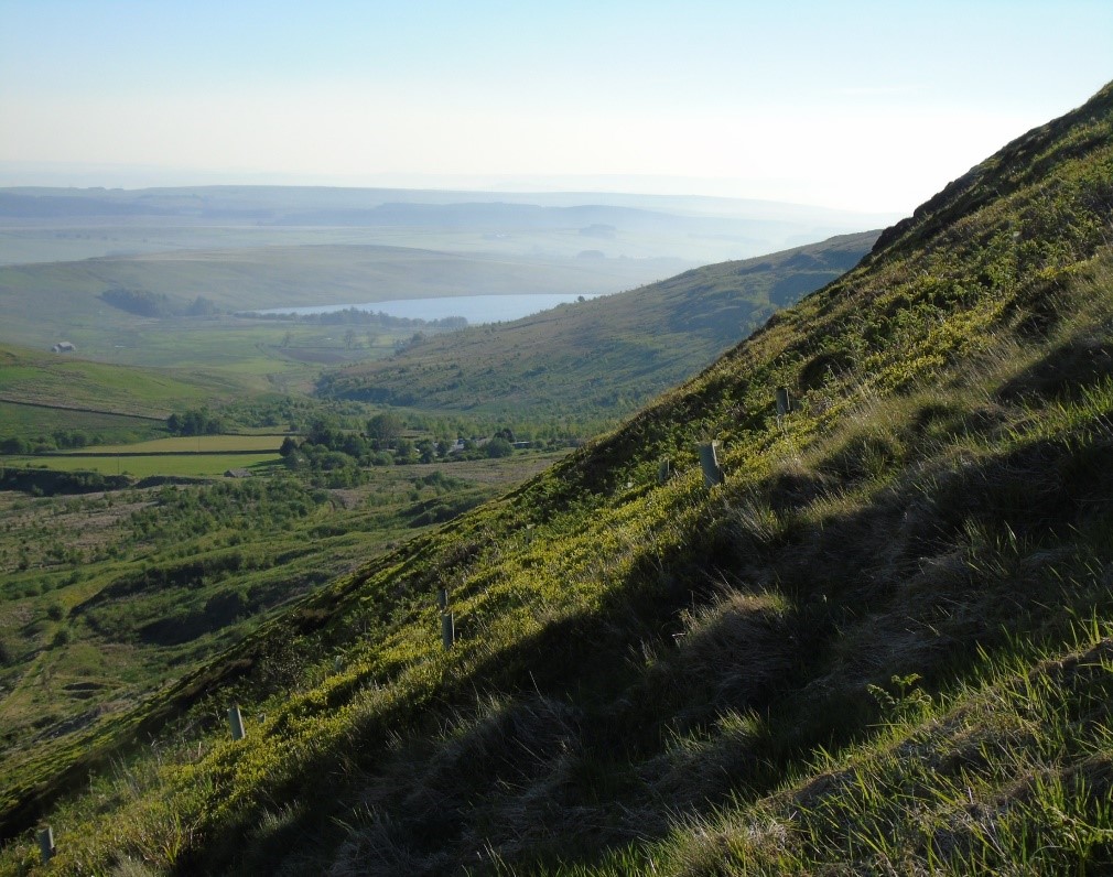 Brilliant job vacancy going at Geltsdale. If you like black grouse, hen harriers, curlews and helping nature at landscape scale, then apply now... app.vacancy-filler.co.uk/salescrm/Caree…