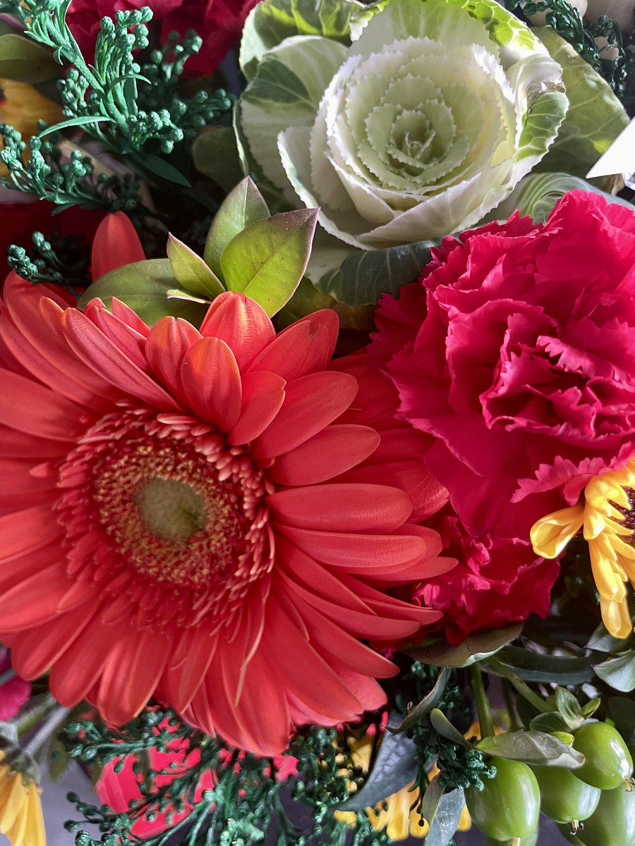 Red Socks Go With Absolutely Anything tweet media