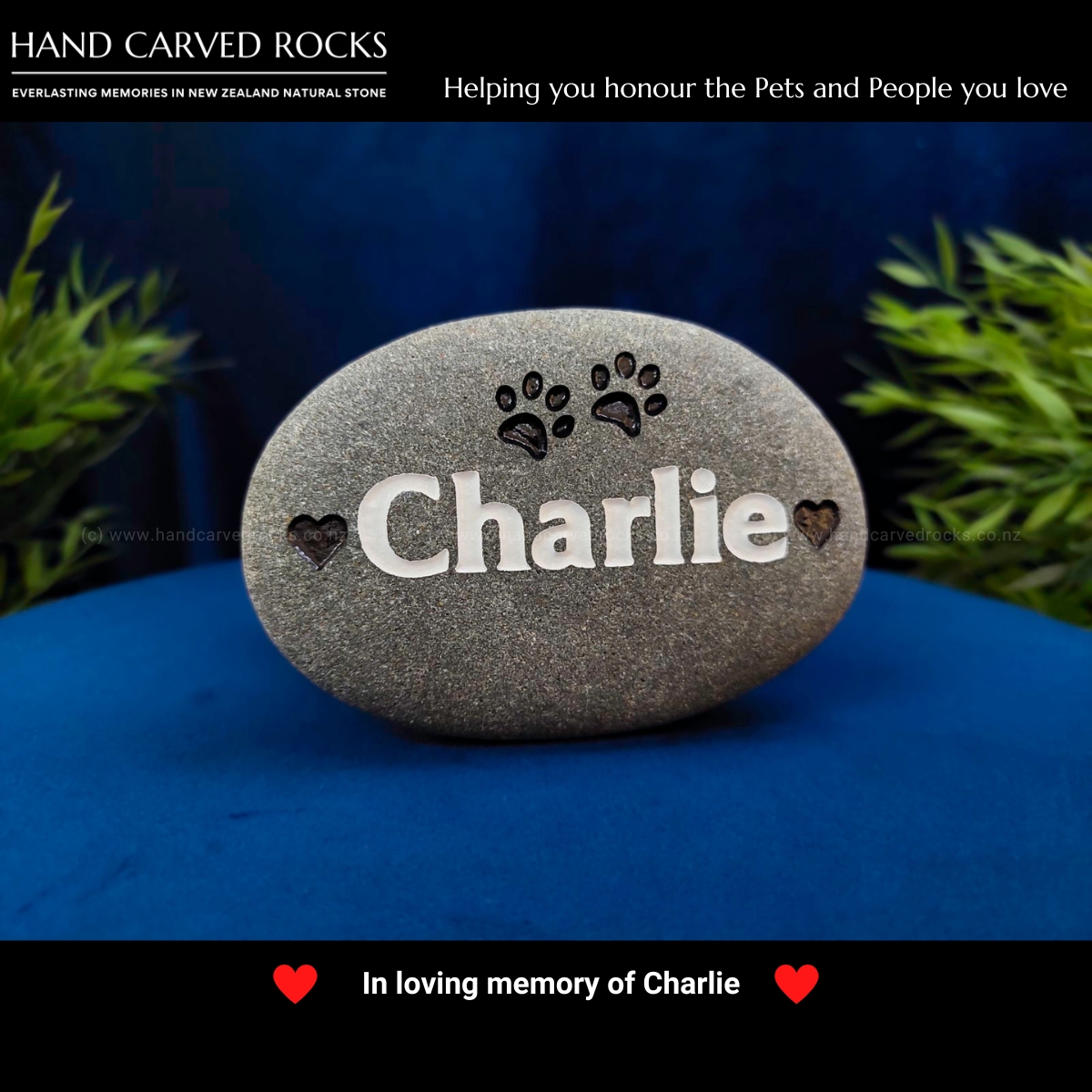 💕 In loving remembrance of sweet little Charlie 💕

#catsoftwitter #petmemorial #catmemorial #newzealand #nz #stone #gardenrockmemorial #petheadstone #rainbowbridge #rainbowbridgecats