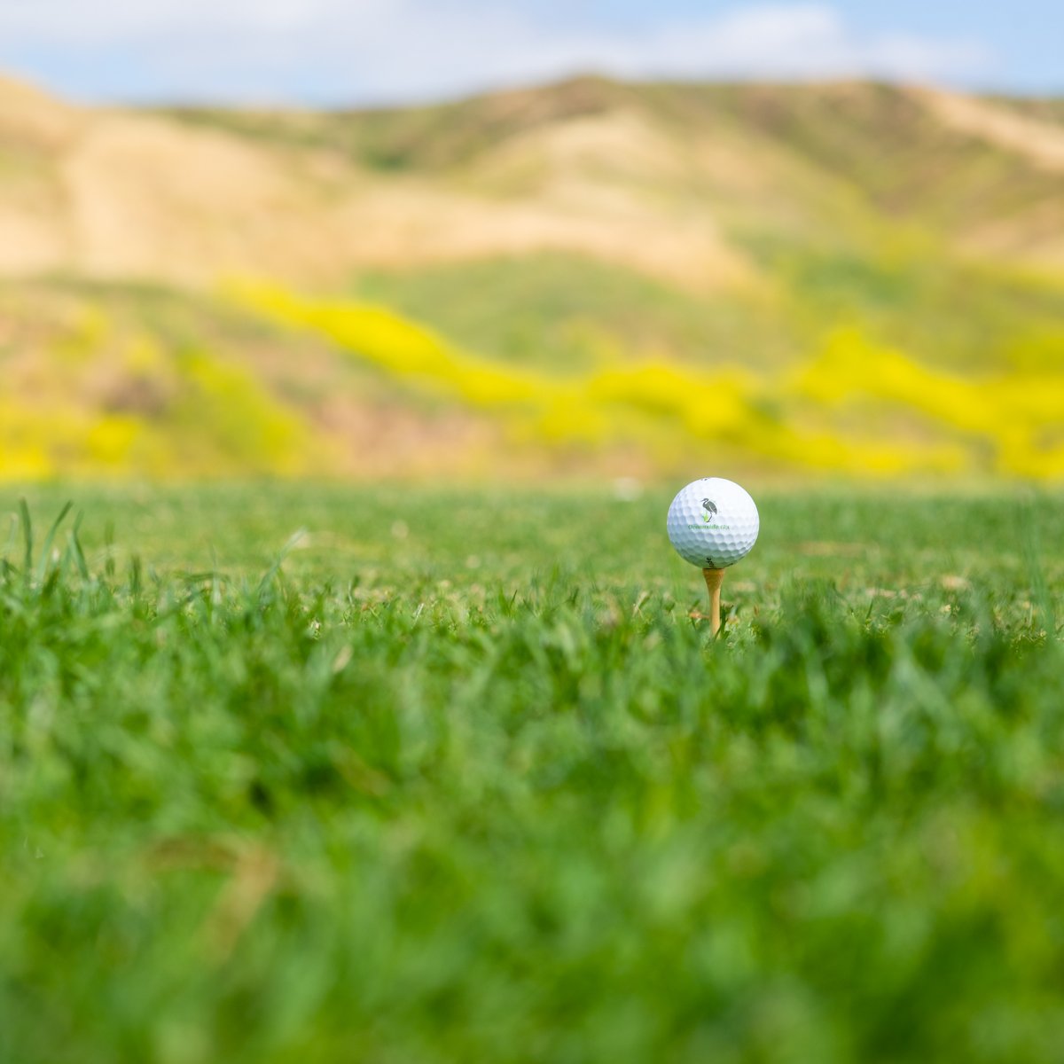 OceansideGolfCo's tweet photo. If you've never enjoyed a round with us, 2023 is your year! Plan your first round with us today: (760) 433-1360. https://t.co/t9RpN4l38Z
