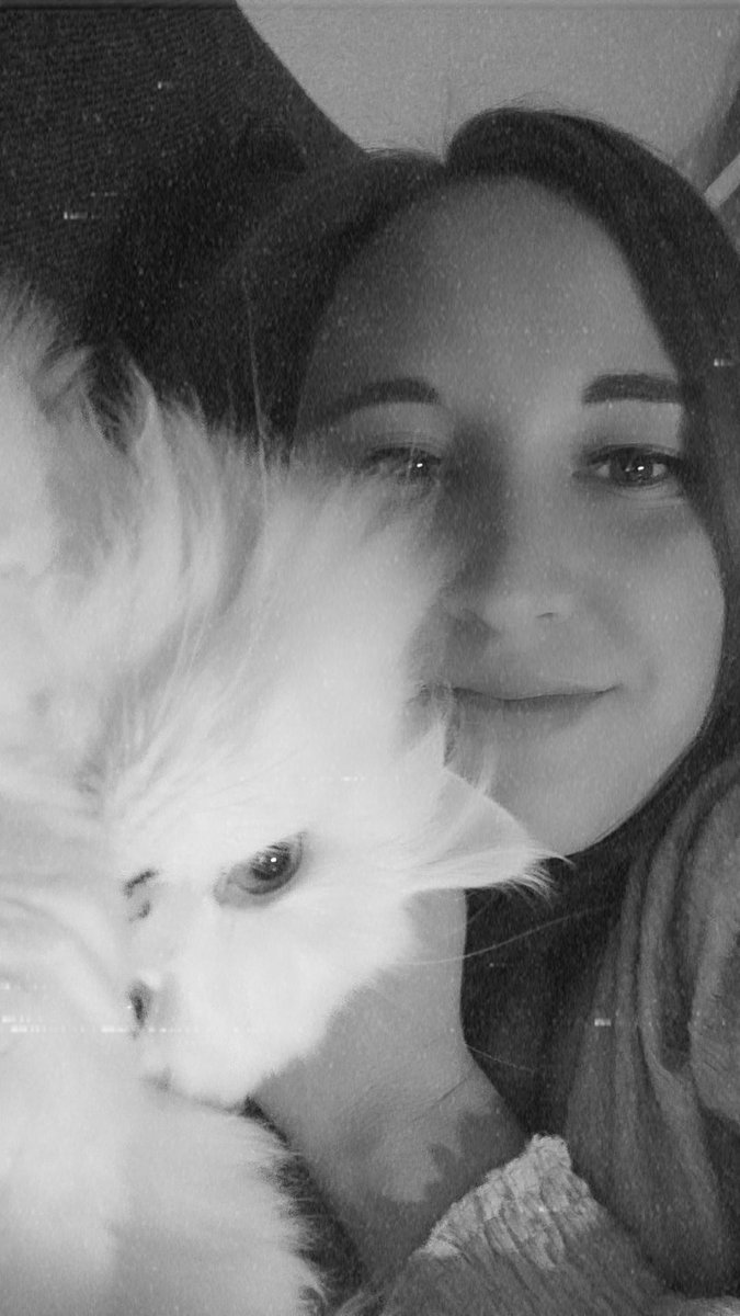 AnniLimberger's tweet photo. just love 💕 #eddie #persiancat https://t.co/EdidgNPDxq