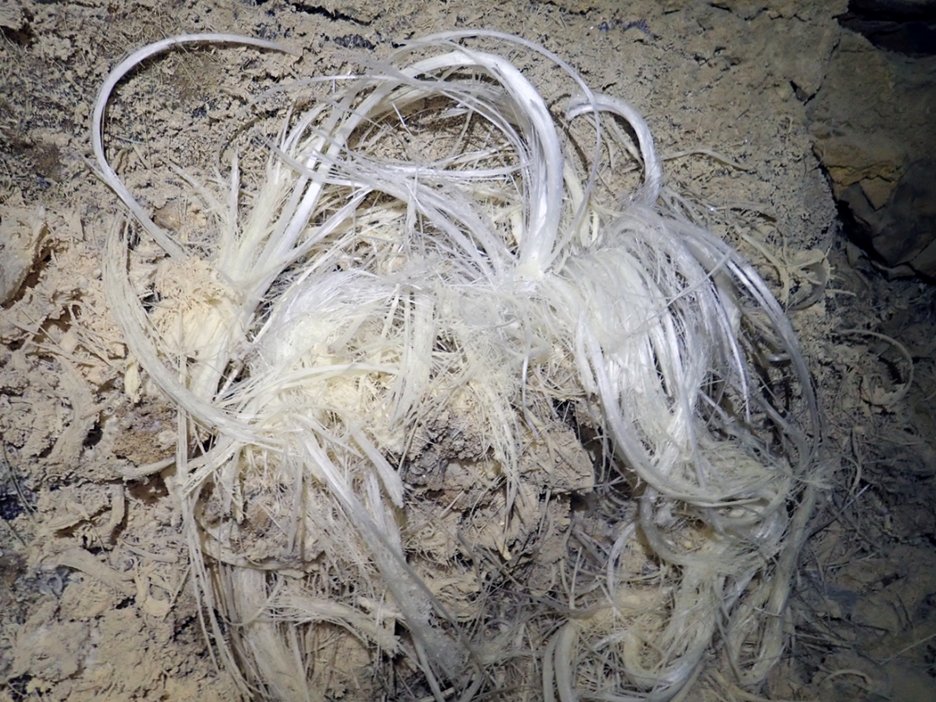 geosociety tweet media