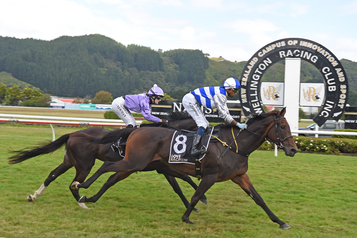 PencarrowStud's tweet photo. #Pencarrow mare Pearl Of Alsace (NZ) extended her perfect career record to three out of three with another smart performance in Saturday’s $30,000 Il Tempo (1600m). Pencarrow is offering her half-sister (Lot 253) by Super Seth during #Karaka2023.💙
📰: https://t.co/4hlgAF48sM https://t.co/HGBggnvbUC