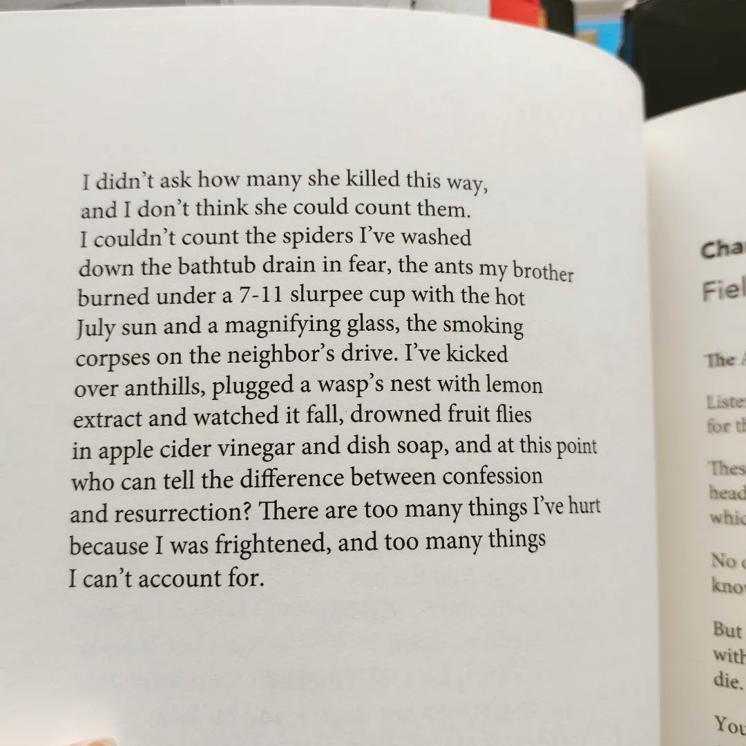 Kathryn/Катя Bratt-Pfotenhauer tweet media