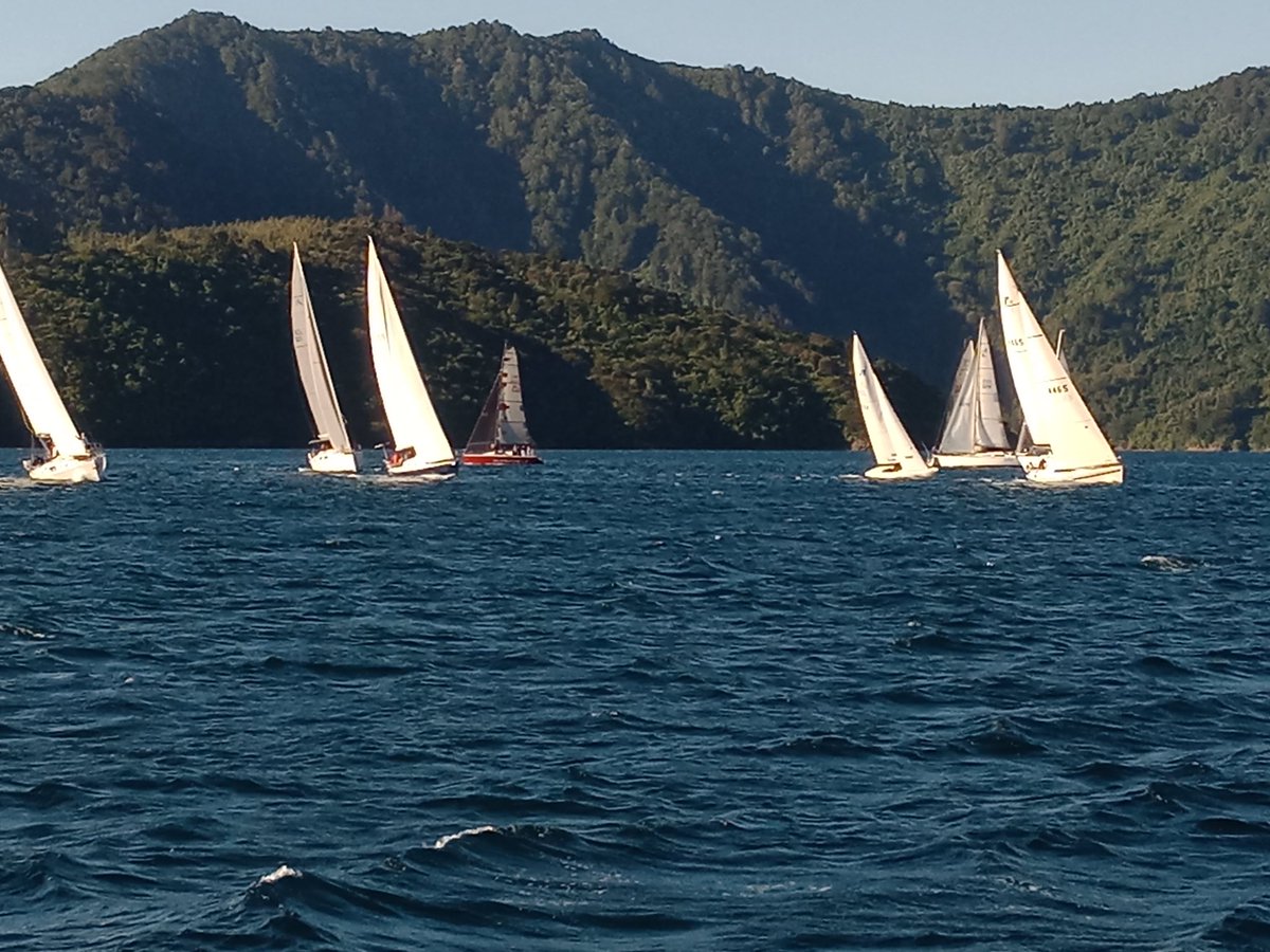 WaikawaBoating's tweet image. Versatile Summer Twilight Race 3 - Great night out on the water-
Photo’s taken by “Ash” crew on ‘@RayWhiteNZ ‘