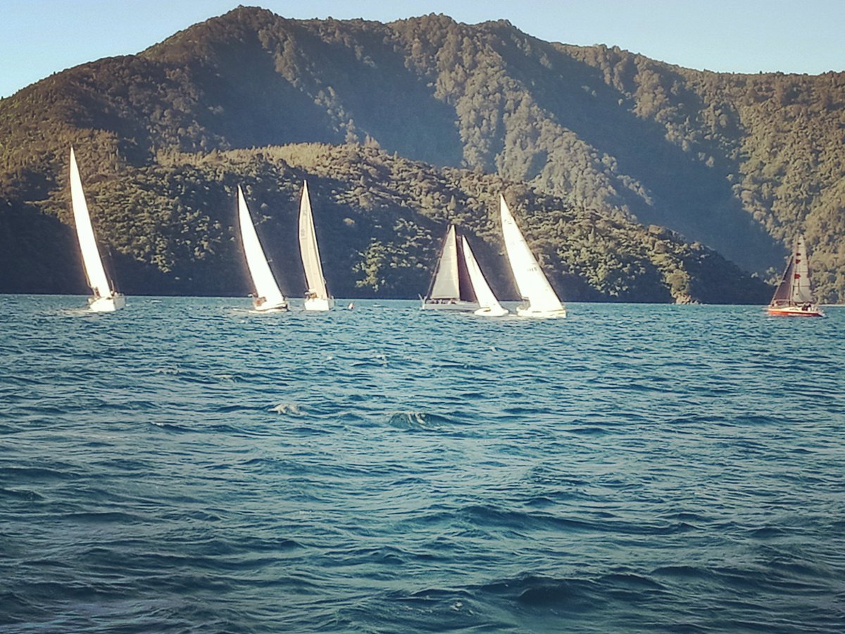 WaikawaBoating's tweet image. Versatile Summer Twilight Race 3 - Great night out on the water-
Photo’s taken by “Ash” crew on ‘@RayWhiteNZ ‘