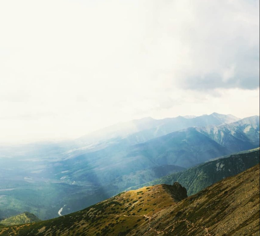 Milan J. Svitek tweet media