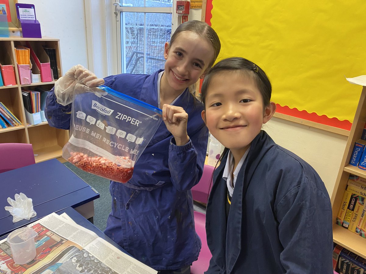 Year6BHillGirls's tweet image. Year 6 had lots of fun in science today. We made blood as part of our study of the circulatory system. Red blood cells, white blood cells, plasma and platelets were all included in our exciting recipe! #welovescience #circulatorysystem