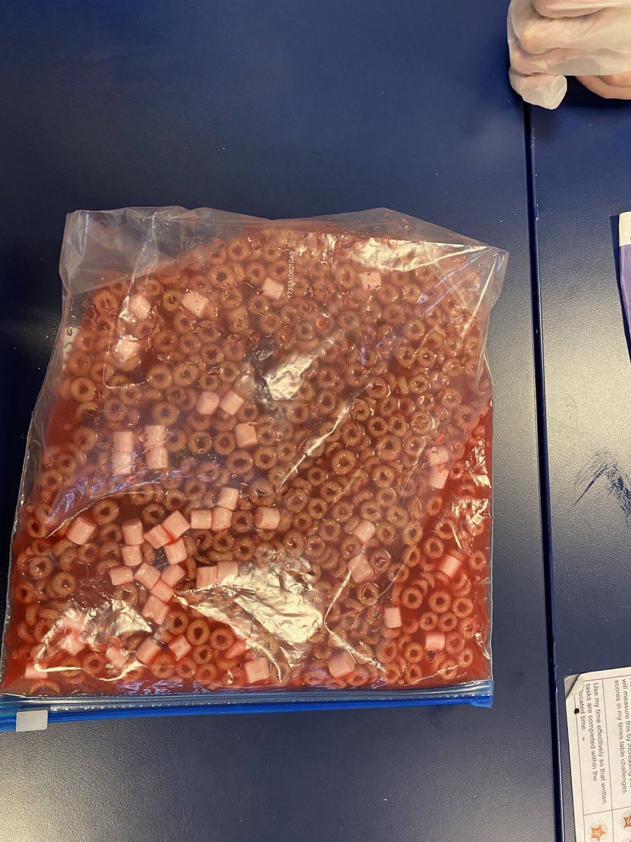 Year6BHillGirls's tweet image. Year 6 had lots of fun in science today. We made blood as part of our study of the circulatory system. Red blood cells, white blood cells, plasma and platelets were all included in our exciting recipe! #welovescience #circulatorysystem