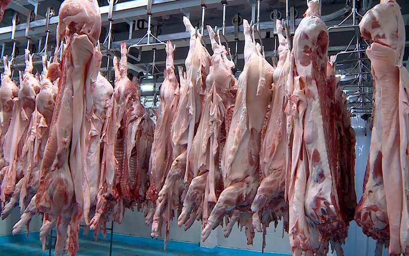 #24Enero La producción nacional de carne de cerdo mostró un buen comportamiento durante el año 2022, con crecimiento de 2.1% en relación al 2021, alcanzando una producción total de 32.3 millones de libras.