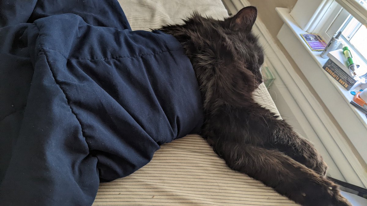 Wilder Dreams Collective tweet media