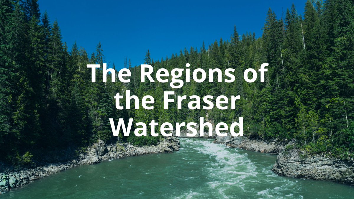 The #FraserWatershed is composed of six regions: Headwaters, Nechako, Cariboo-Chilcotin, Thompson, Fraser Canyon, and Lower Fraser. Here is a thread to highlight each of these regions!