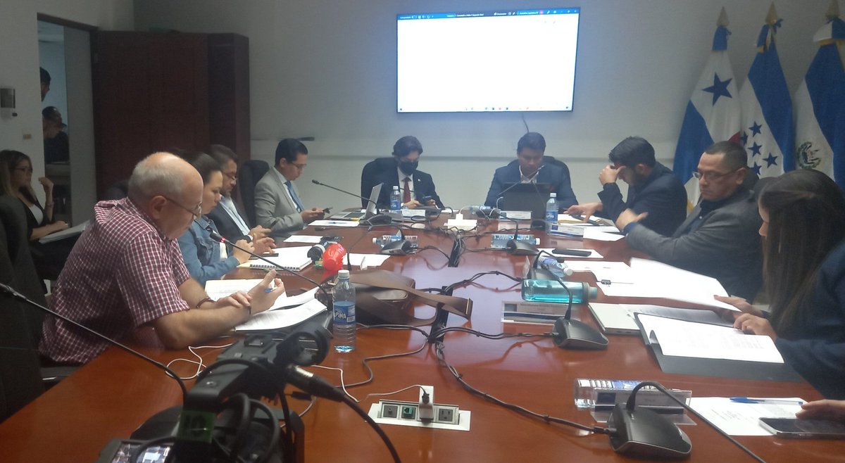 Diputado Rodrigo Ávila (ARENA) propone reformar prohibición de que funcionarios puedan ser ofertantes, para que la prohibición sea expresa y no puedan hacerlo en ninguna institución del Estado. Iniciativa dice que no podrán ser ofertantes solo en su misma institución.