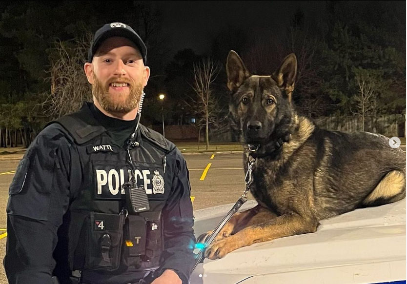 lpsmediaoffice's tweet photo. Last week, the London Police Service Canine Unit welcomed two new crime fighting duos to the team! Meet Cst Wattie and his partner PSD Hank & Cst Thorner and his partner PSD Memphis. They are out patrolling the streets of #LdnOnt, ensuring safety for all. ๐ ๐พ ๐ฎ https://t.co/0bOyGgytwC