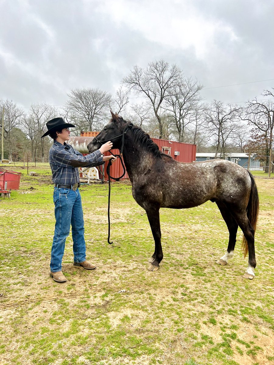 RocknRowdy_RRR's tweet photo. Our newest addition to the Ranch!
πLeona, TX
#rocknrowdyranch #leonatx #texasranch #vacationrental #airbnb #linkinbio #familyvacation #travel #vacation #visittexas #traveltexas #ranchhouse #duderanch #guestranch #guesthouse #animalexperience #houston #dallas https://t.co/gfwhQB4MTi