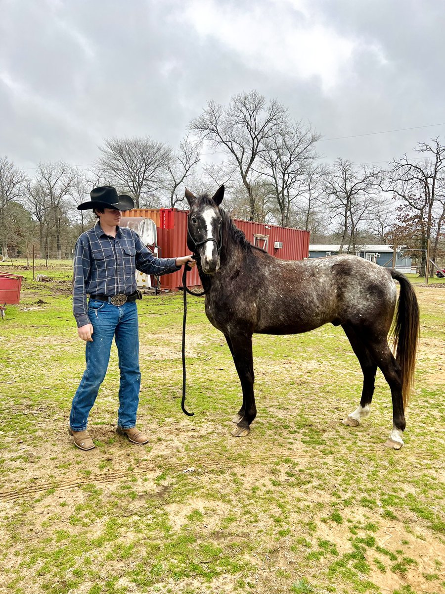 RocknRowdy_RRR's tweet photo. Our newest addition to the Ranch!
πLeona, TX
#rocknrowdyranch #leonatx #texasranch #vacationrental #airbnb #linkinbio #familyvacation #travel #vacation #visittexas #traveltexas #ranchhouse #duderanch #guestranch #guesthouse #animalexperience #houston #dallas https://t.co/gfwhQB4MTi