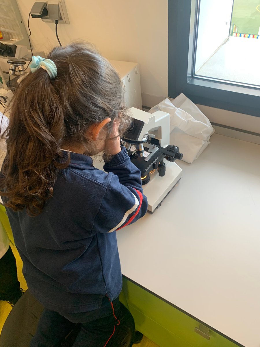 MercedesFerGo's tweet photo. Proyecto”Peques CRCientíficos”
L@s peques de 5 años se han convertido en verdader@s científic@s en compañía de los alumn@s de 1º de bachillerato.
#DiaDeLaEducacion @colegio_rcajal https://t.co/ZvEBIGmshX