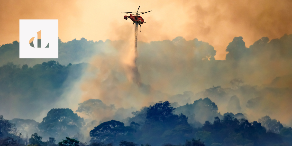HypeLegal's tweet photo. We completed our project for Daniels Law -- in addition to handling complex personal injury cases, the firm specializes in wildfire cases across California. Check out the project here: https://t.co/XPBWcHSYff https://t.co/uqqLqprHyj