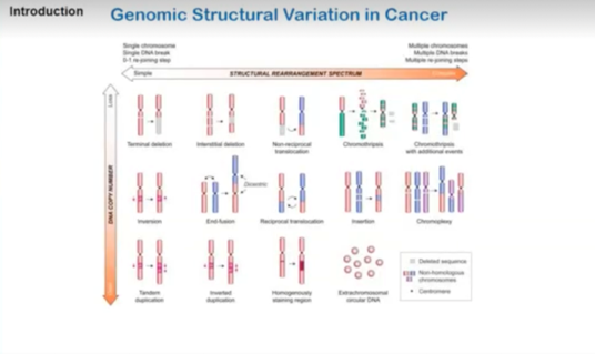 bionano's tweet photo. Dr. Díaz-Martín states prognostic biomarkers are needed to stratify subjects, which can identify SVs in t-sarcomas/non t-sarcomas. Genomic SVs analyzed by #OGM have the potential to identify/differentiate tumor types. #Bionano #Symposium2023 #SVsMatter. https://t.co/CxPHDrRJnX https://t.co/RbnnicNjhu