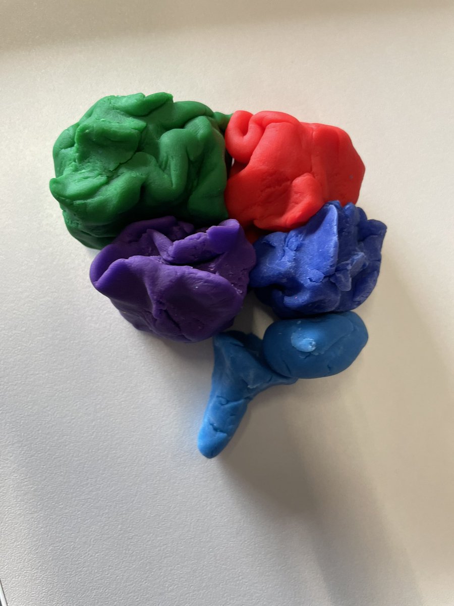 amanda_isme's tweet photo. Science + Artistry = Occupational Therapy      exploring the wonders of the brain and occupation with the awesome @CovUniOT London apprentices. https://t.co/3QvW7yv4va