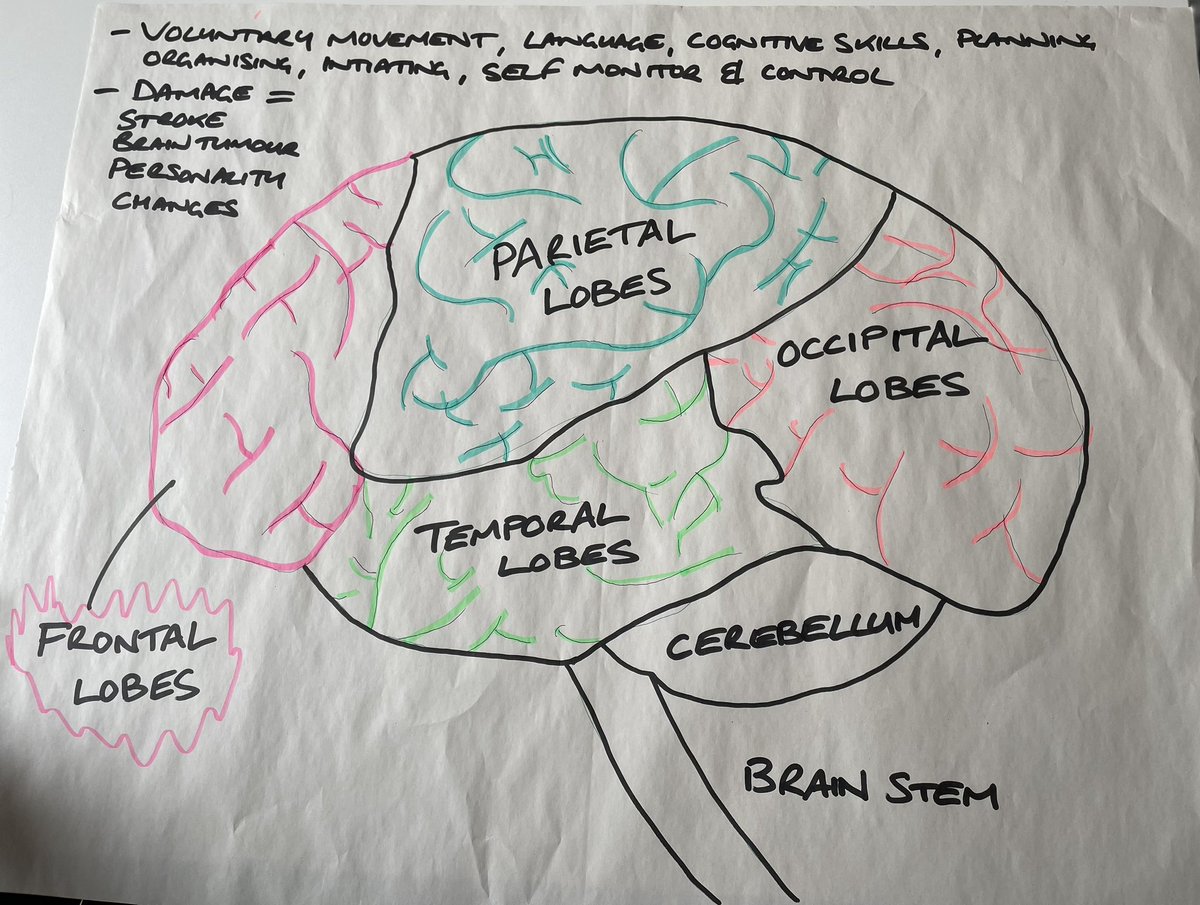 amanda_isme's tweet photo. Science + Artistry = Occupational Therapy      exploring the wonders of the brain and occupation with the awesome @CovUniOT London apprentices. https://t.co/3QvW7yv4va