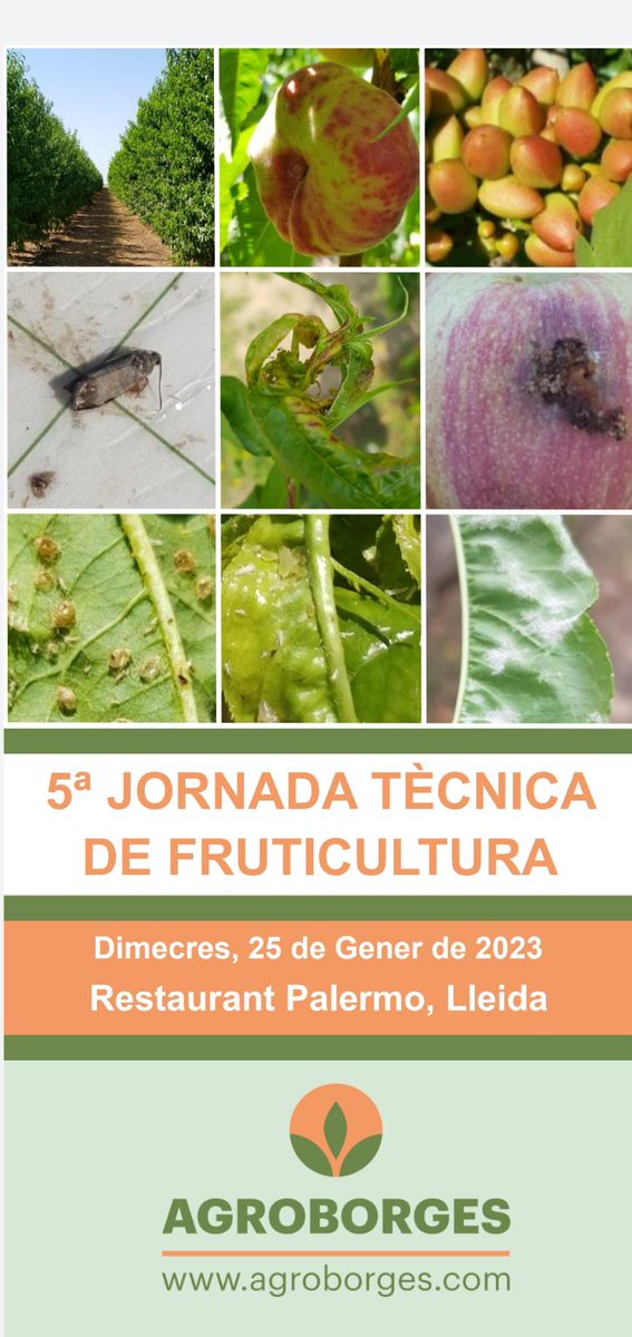 BetaliaES's tweet photo. Mañana estaremos en la 5ª Jornada Técnica de Fruticultura de @Agroborgesl 👇
📍 Lleida https://t.co/yAfwgLKxZL