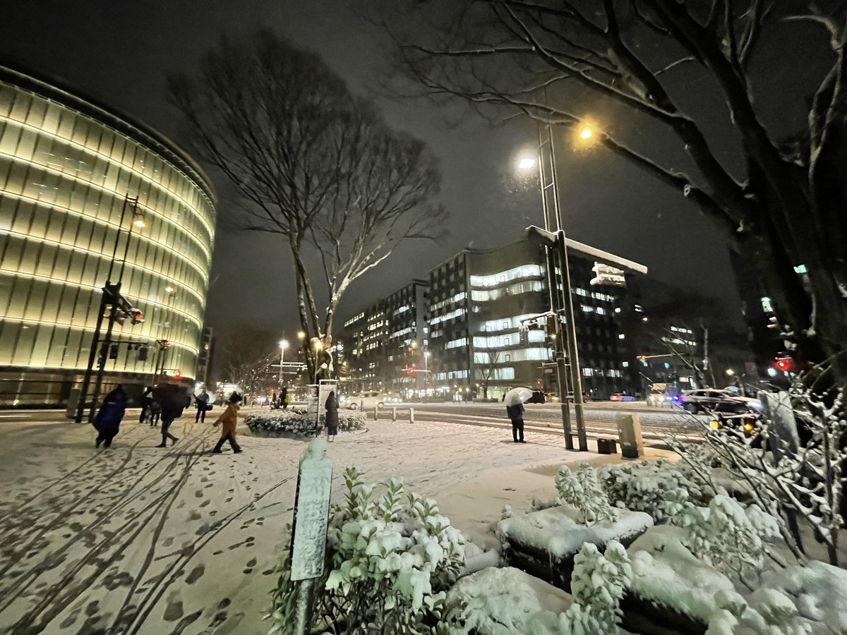 京都、買い出しに外出たらこれだよ https://t.co/eNOth4wq0r