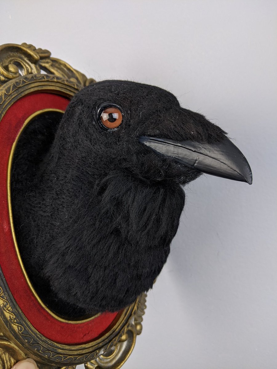 BaylaArt's tweet photo. It's always spooky season.
Raven faux taxidermy available today in my Etsy shop.
#fauxtaxidermy #needlefeltedbird #needlefelting #felttaxidermy #ravenart #ravensculpture #gothraven #gothart #gothhomedecor #oddities #odditiesmarket https://t.co/8OCzjVakeR