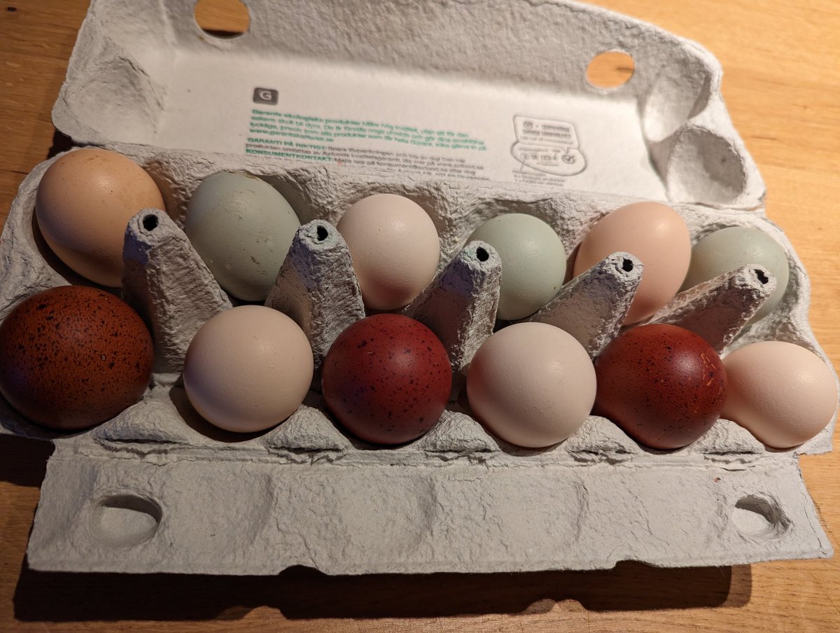 Länge sen man la ut en äggbild med hälsningar från hönsen Göran, Majs, Prickis mfl.