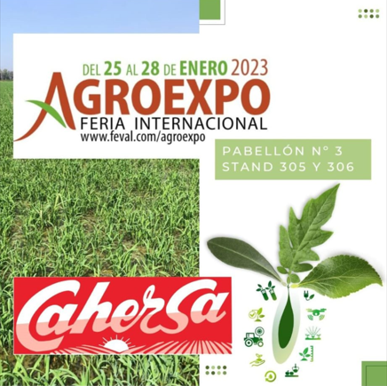 BetaliaES's tweet photo. A partir de mañana estaremos en #Extremadura, en #Agroexpo2023, con #Cahersa.
¡Os esperamos! 🤗🤗🤗
📍 #DonBenito
📆 Hasta el 28 de enero
@agroexpofeval @FEVAL_ @Ayto_DonBenito 
#Betalia #BetaliaAgro #Feval https://t.co/07ntTlxVUW
