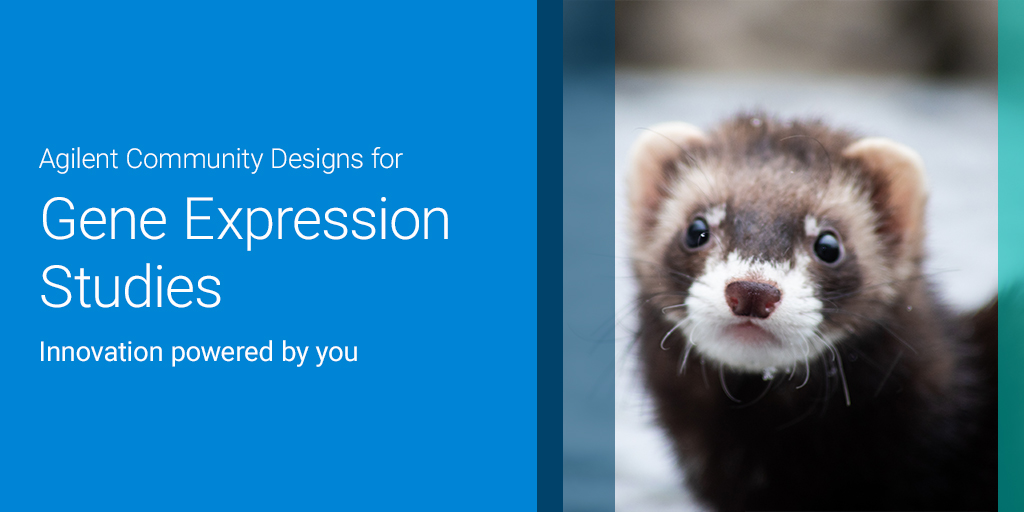 TheScientistLLC's tweet image. Did you know you can get a #microarray designed specifically for ferret gene expression studies? Check it out and see how you can simplify your research: bit.ly/3VUSer4 - with Agilent Technologies.
