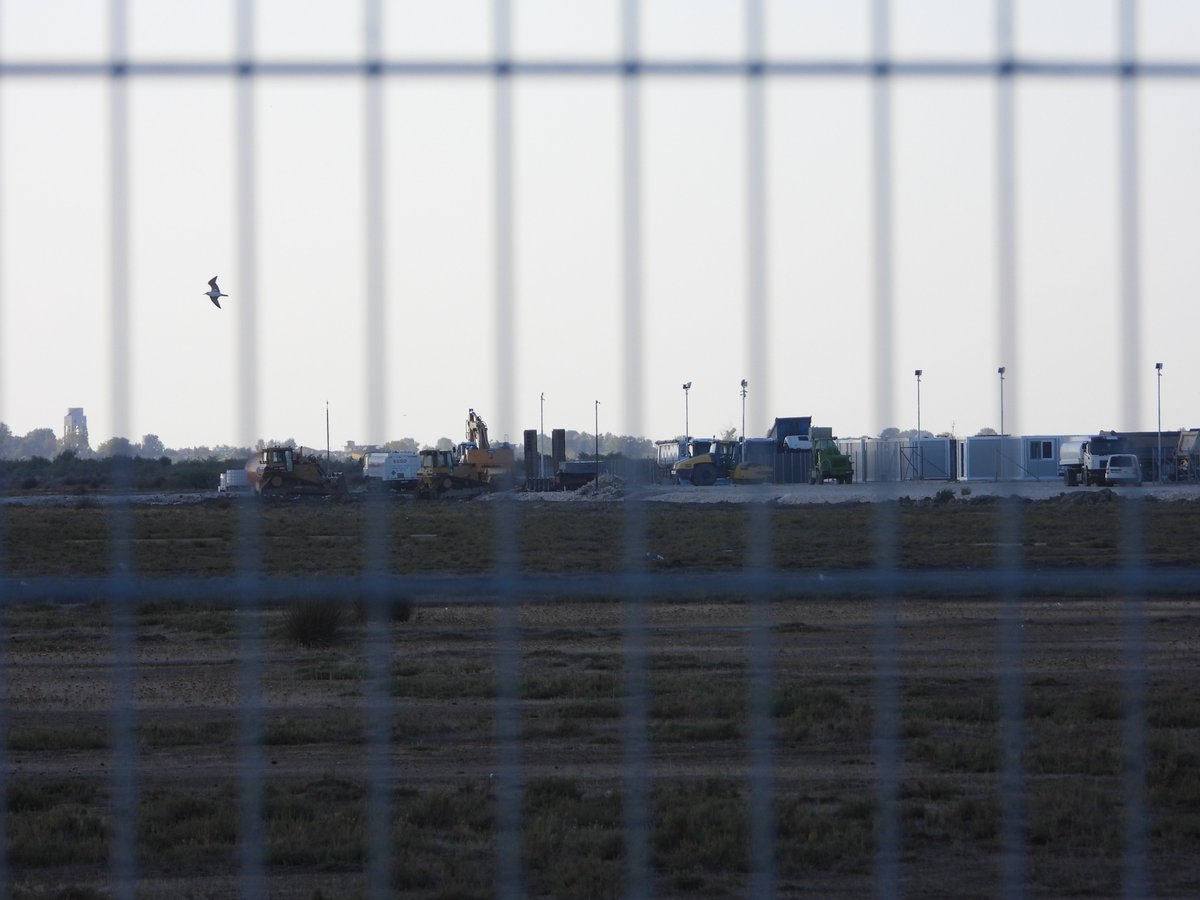 PPNEA's tweet photo. PRESS RELEASE
Lawsuit challenging unlawful airport deemed inadmissible.
https://t.co/UYQKdzNQ28
@EuroNaturORG @AOS_ALB 
#togetherforvjosanarta https://t.co/ZbimyG2nTE