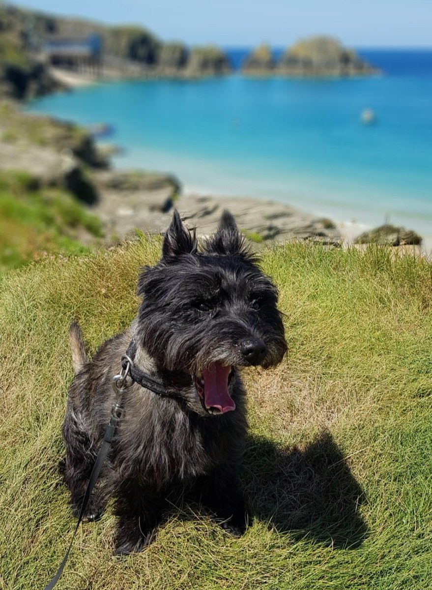 <a href="/laura_woodsy/">Laura Woods</a> Cornwall