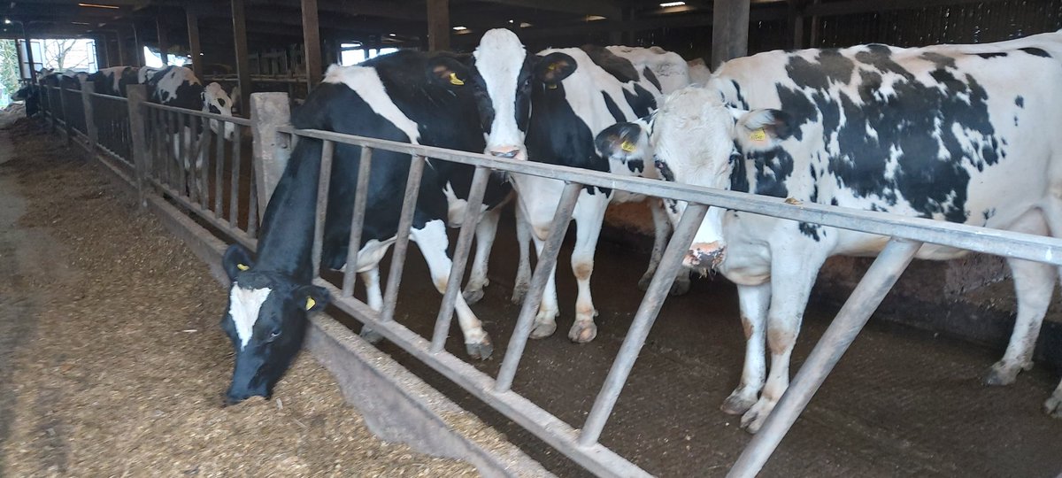 Emma Robinson tweet media