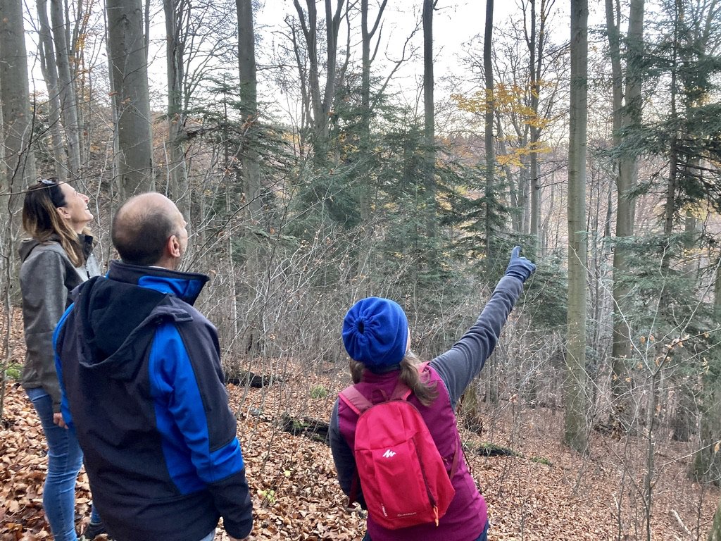 During the COVID-19 pandemic, the role of forests as a high-value restorative environment for people, incl. older adults, has become clearer than ever, research shows:
<a href="/Ambio_Journal/">Ambio - A Journal of Environment and Society</a>
doi.org/10.1007/s13280…
<a href="/IJERPH_MDPI/">IJERPH</a>
mdpi.com/1049998