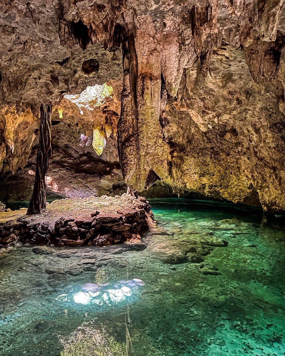 CatStolar's tweet photo. The world is a beautiful place. 🌊 Swim with the fishes every once in a while. 

📸: Tulum, Mexico 🇲🇽 

@tulum_mexico @TravelLeisureMX @MexicoTourismBd 

#mexico #tulum #travel #travelmexico #traveltulum #Yucatan #travelphotos https://t.co/t72FobAWmn